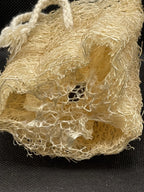 Unbleached Natural Biodegradable 4" Loofah Sponge with Rope and Seed