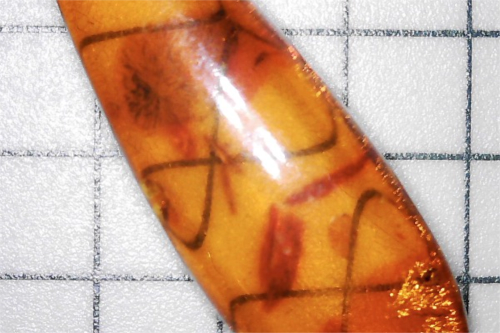 Microscopic VIew of the Vintage Soviet Era Russian Baltic Amber Silver Earrings