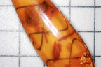 Microscopic VIew of the Vintage Soviet Era Russian Baltic Amber Silver Earrings